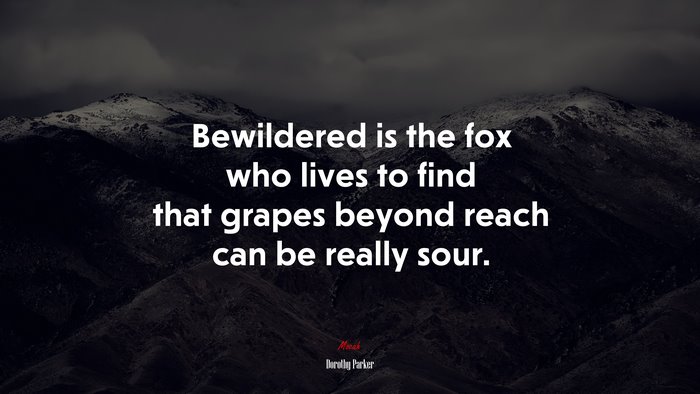 Bewildered is the fox who lives to find that grapes beyond reach can be really sour. | Dorothy Parker quote