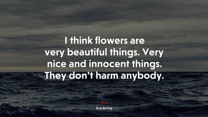 I think flowers are very beautiful things. Very nice and innocent things. They don’t harm anybody. | Steven Morrissey quote