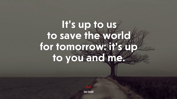 It’s up to us to save the world for tomorrow: it’s up to you and me. | Jane Goodall quote