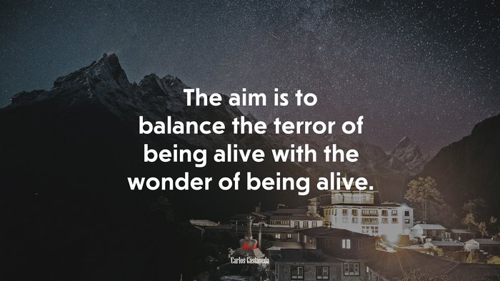 The aim is to balance the terror of being alive with the wonder of being alive. | Carlos Castaneda quote