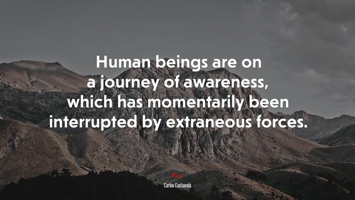 Human beings are on a journey of awareness, which has momentarily been interrupted by extraneous forces. | Carlos Castaneda quote
