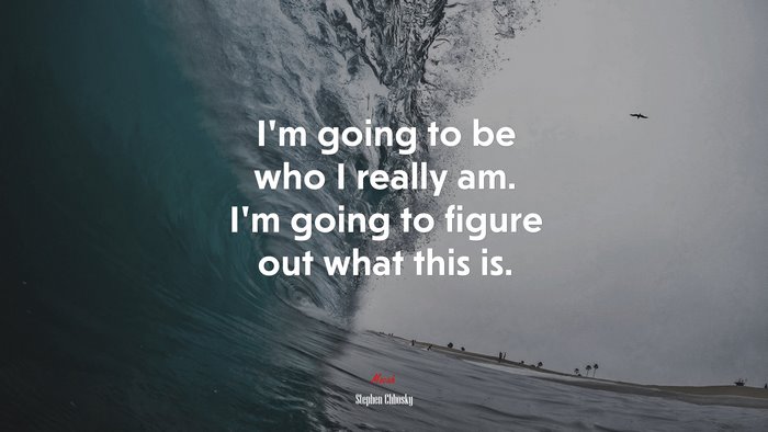 I’m going to be who I really am. I’m going to figure out what this is. | Stephen Chbosky quote