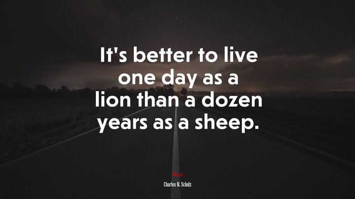It’s better to live one day as a lion than a dozen years as a sheep. | Charles M. Schulz quote