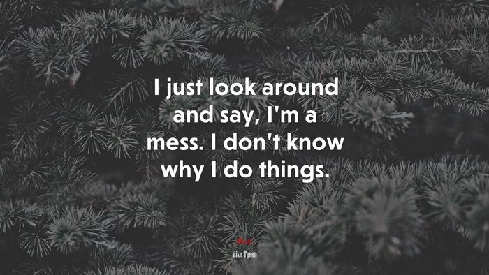 I just look around and say, I’m a mess. I don’t know why I do things. | Mike Tyson quote