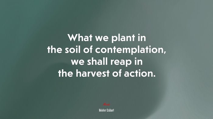 What we plant in the soil of contemplation, we shall reap in the harvest of action. | Meister Eckhart quote