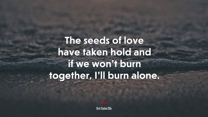 The seeds of love have taken hold and if we won’t burn together, I’ll burn alone. | Bret Easton Ellis quote