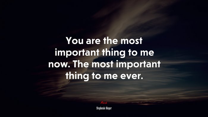 You are the most important thing to me now. The most important thing to me ever. | Stephenie Meyer quote
