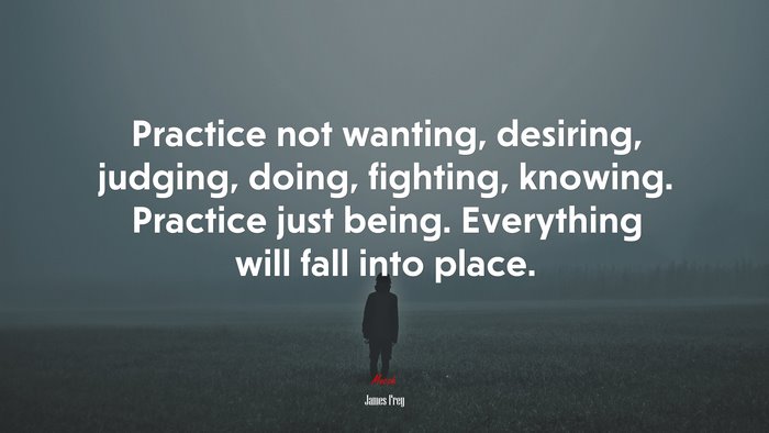 Practice not wanting, desiring, judging, doing, fighting, knowing. Practice just being. Everything will fall into place. | James Frey quote