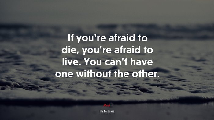 If you’re afraid to die, you’re afraid to live. You can’t have one without the other. | Rita Mae Brown quote