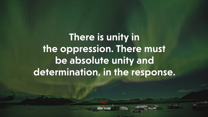 There is unity in the oppression. There must be absolute unity and determination, in the response. | Julian Assange quote