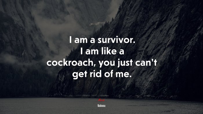 I am a survivor. I am like a cockroach, you just can’t get rid of me. | Madonna quote