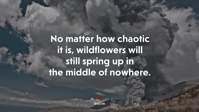 No matter how chaotic it is, wildflowers will still spring up in the middle of nowhere. | Sheryl Crow quote