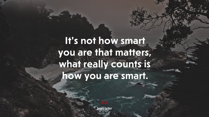 It’s not how smart you are that matters, what really counts is how you are smart. | Howard Gardner quote