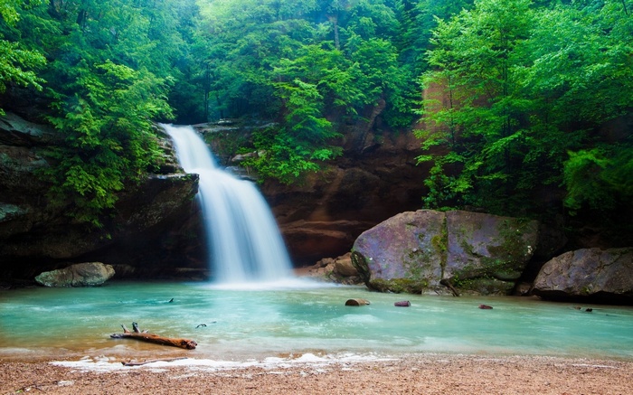 Waterfall cascading into a turquoise pool in a lush forest