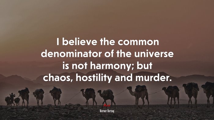 I believe the common denominator of the universe is not harmony; but chaos, hostility and murder. | Werner Herzog quote