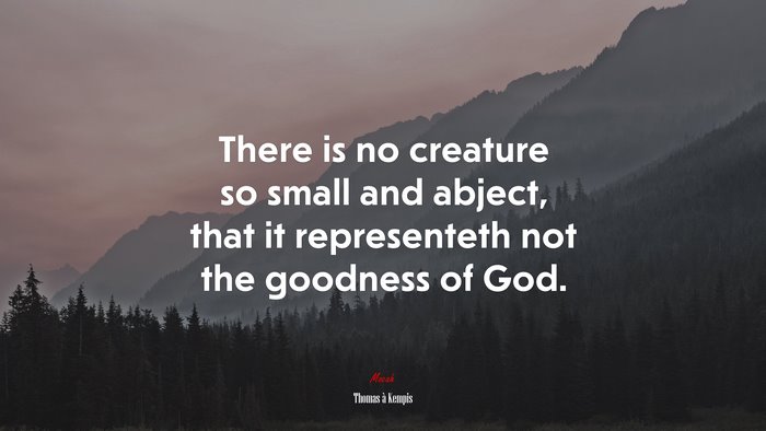 There is no creature so small and abject, that it representeth not the goodness of God. | Thomas à Kempis quote