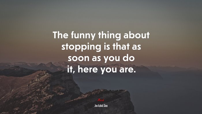 The funny thing about stopping is that as soon as you do it, here you are. | Jon Kabat-Zinn quote
