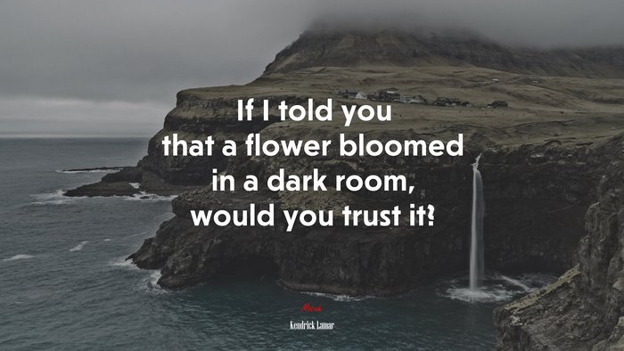 If I told you that a flower bloomed in a dark room, would you trust it? | Kendrick Lamar quote