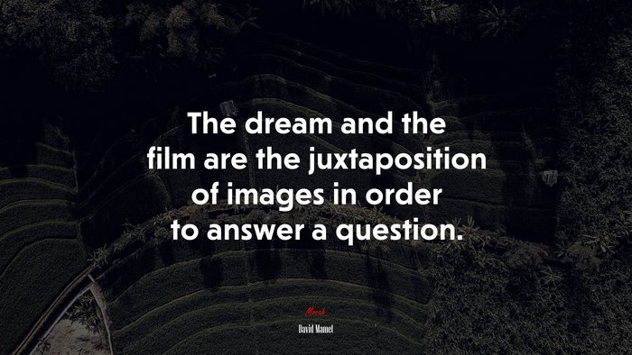 The dream and the film are the juxtaposition of images in order to answer a question. | David Mamet quote