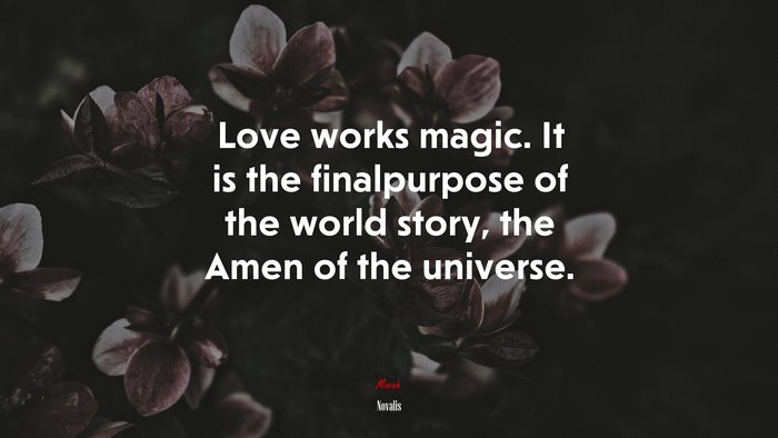 Love works magic. It is the finalpurpose of the world story, the Amen of the universe. | Novalis quote