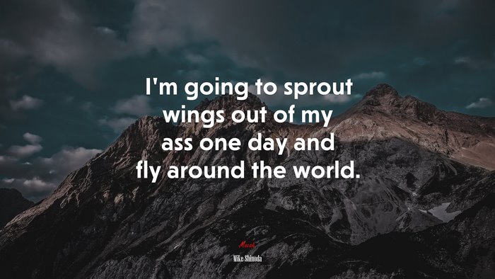 I’m going to sprout wings out of my ass one day and fly around the world. | Mike Shinoda quote