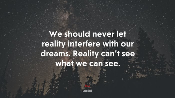 We should never let reality interfere with our dreams. Reality can’t see what we can see. | Simon Sinek quote