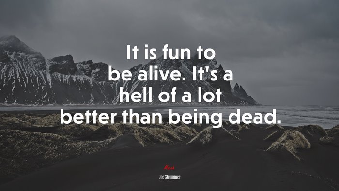 It is fun to be alive. It’s a hell of a lot better than being dead. | Joe Strummer quote