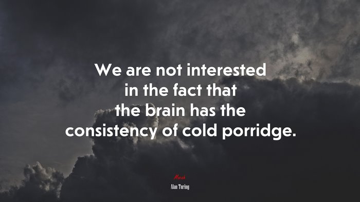 We are not interested in the fact that the brain has the consistency of cold porridge. | Alan Turing quote