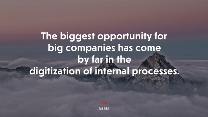 The biggest opportunity for big companies has come by far in the digitization of internal processes. | Jack Welch quote