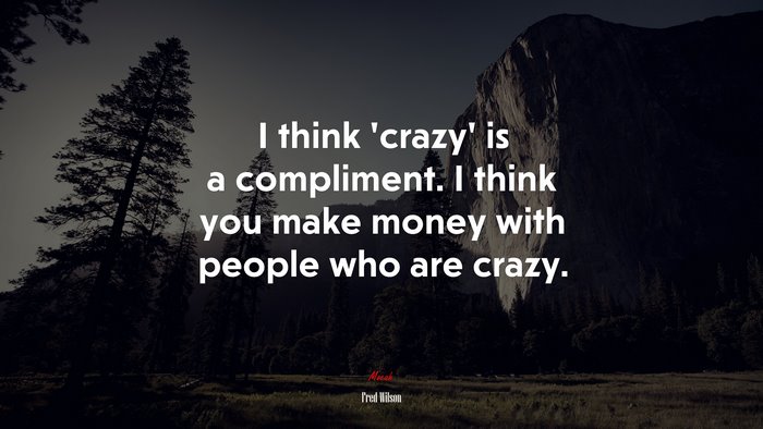 I think ‘crazy’ is a compliment. I think you make money with people who are crazy. | Fred Wilson quote