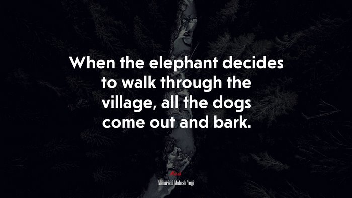 When the elephant decides to walk through the village, all the dogs come out and bark. | Maharishi Mahesh Yogi quote