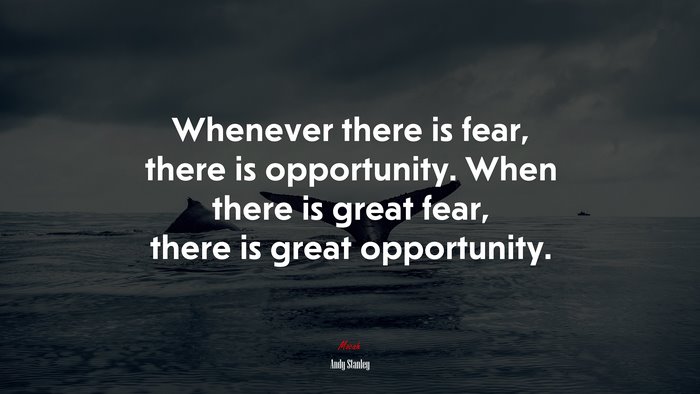 Whenever there is fear, there is opportunity. When there is great fear, there is great opportunity. | Andy Stanley quote