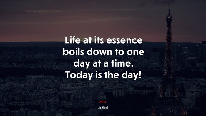 Life at its essence boils down to one day at a time. Today is the day! | Jim Stovall quote