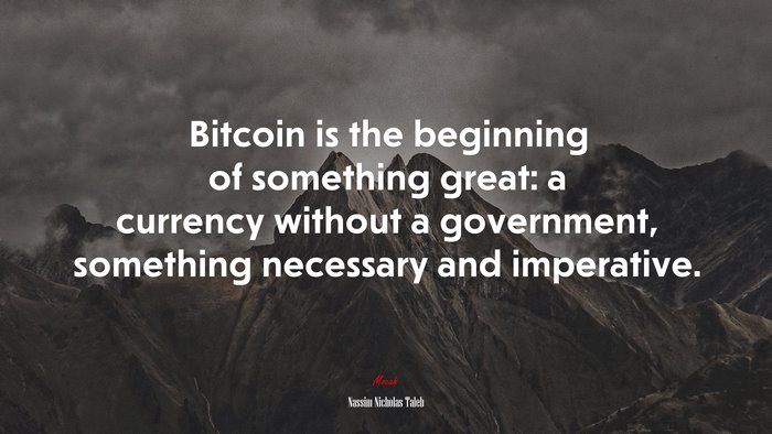 Bitcoin is the beginning of something great: a currency without a government, something necessary and imperative. | Nassim Nicholas Taleb quote