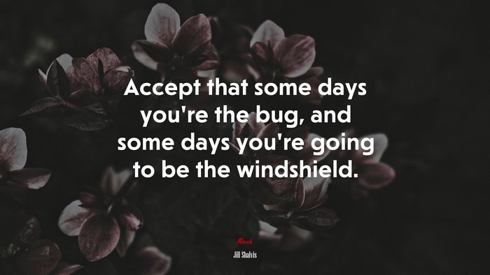 Accept that some days you’re the bug, and some days you’re going to be the windshield. | Jill Shalvis quote