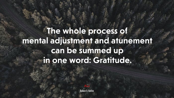 The whole process of mental adjustment and atunement can be summed up in one word: Gratitude. | Wallace D. Wattles quote