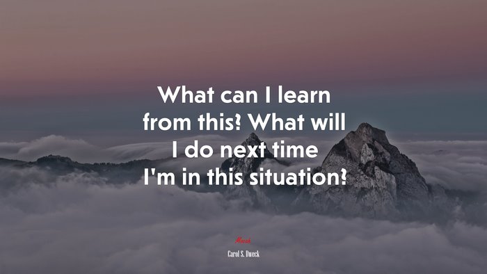 What can I learn from this? What will I do next time I’m in this situation? | Carol S. Dweck quote