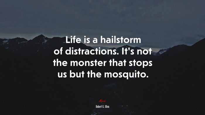 Life is a hailstorm of distractions. It’s not the monster that stops us but the mosquito. | Robert G. Allen quote