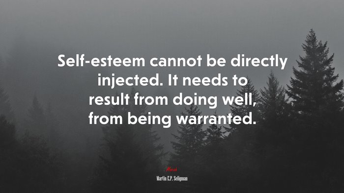 Self-esteem cannot be directly injected. It needs to result from doing well, from being warranted. | Martin E.P. Seligman quote