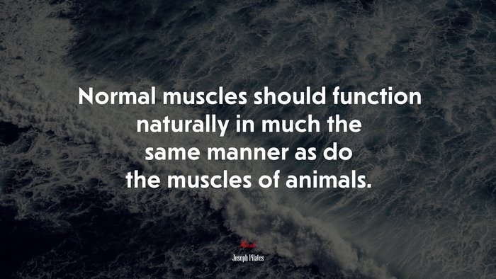 Normal muscles should function naturally in much the same manner as do the muscles of animals. | Joseph Pilates quote