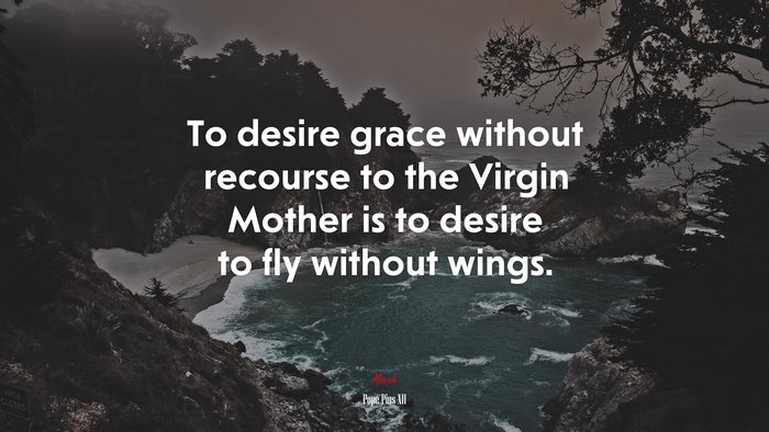To desire grace without recourse to the Virgin Mother is to desire to fly without wings. | Pope Pius XII quote