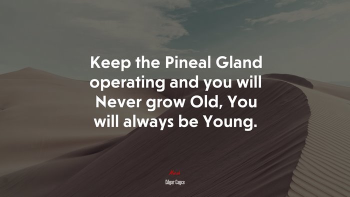 Keep the Pineal Gland operating and you will Never grow Old, You will always be Young. | Edgar Cayce quote