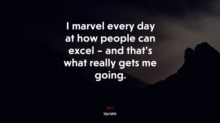 I marvel every day at how people can excel – and that’s what really gets me going. | Satya Nadella quote