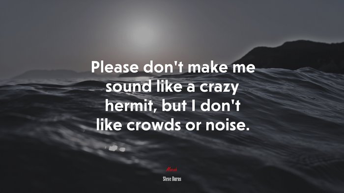 Please don’t make me sound like a crazy hermit, but I don’t like crowds or noise. | Steve Burns quote