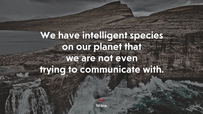 We have intelligent species on our planet that we are not even trying to communicate with. | Paul Watson quote