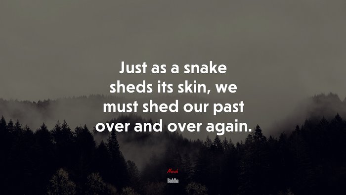Just as a snake sheds its skin, we must shed our past over and over again. | Buddha quote
