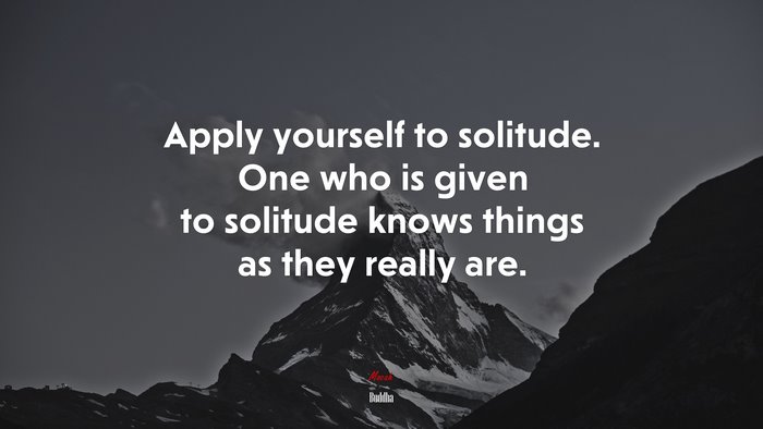 Apply yourself to solitude. One who is given to solitude knows things as they really are. | Buddha quote
