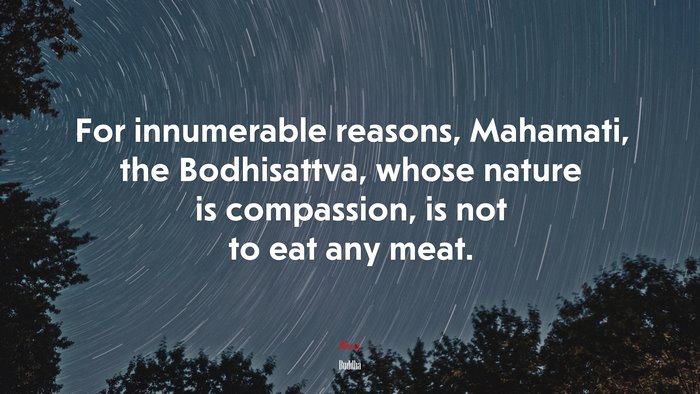 For innumerable reasons, Mahamati, the Bodhisattva, whose nature is compassion, is not to eat any meat. | Buddha quote