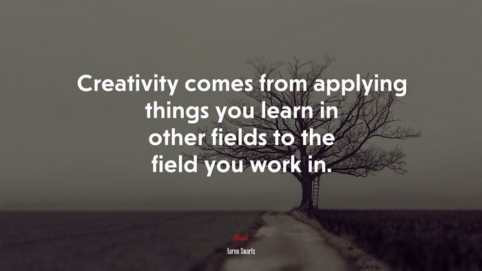 Creativity comes from applying things you learn in other fields to the field you work in. | Aaron Swartz quote