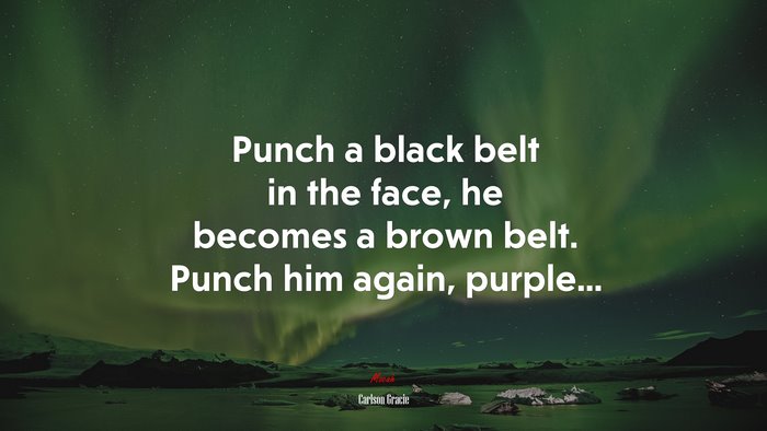 Punch a black belt in the face, he becomes a brown belt. Punch him again, purple... | Carlson Gracie quote